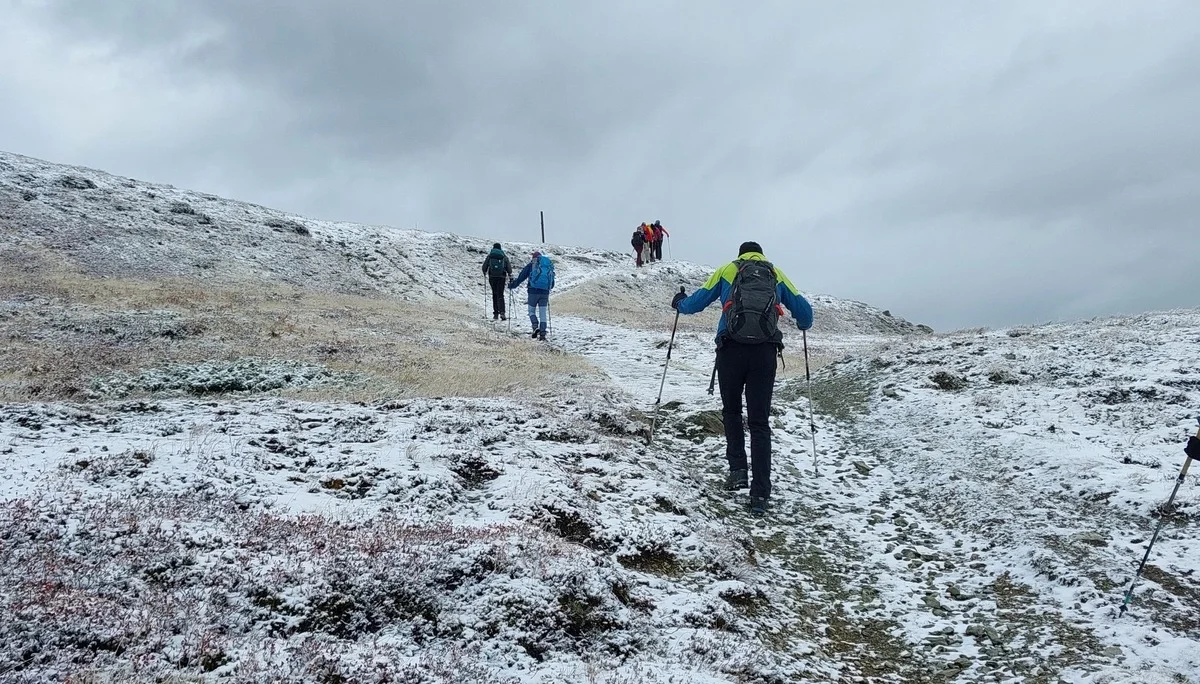 Aufstieg zum Sattelberg | © M.Bayer