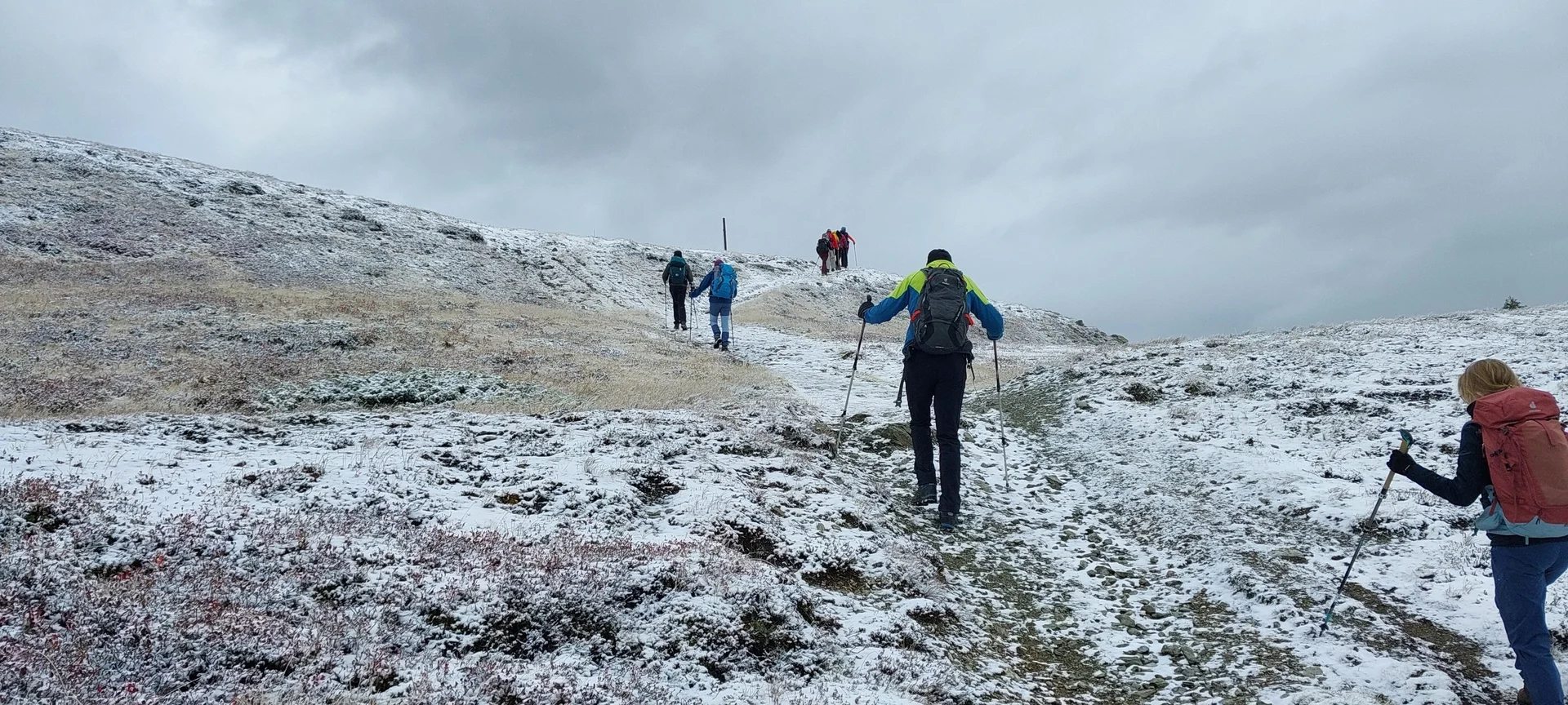 Aufstieg zum Sattelberg | © M.Bayer