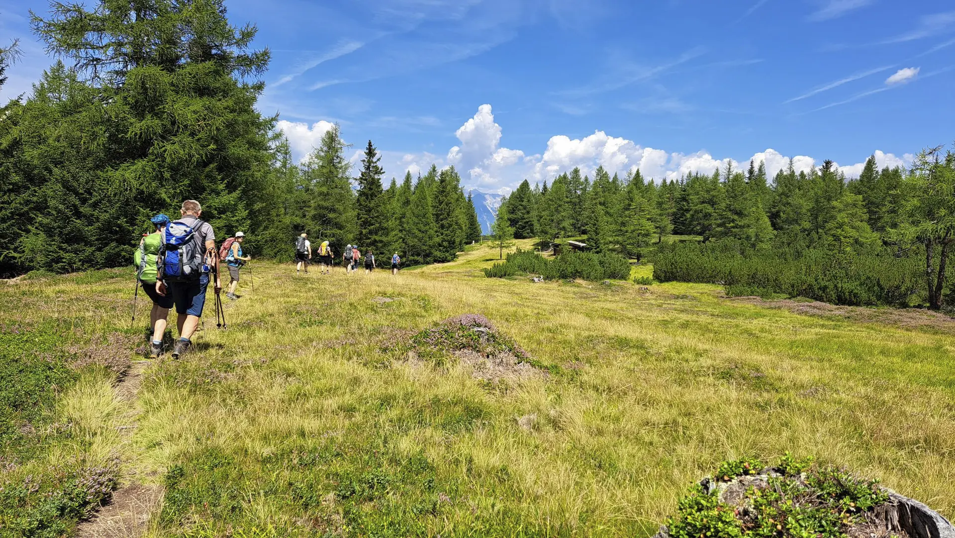 übers Hochmoor zur Ochsenhütte | © Carola A.