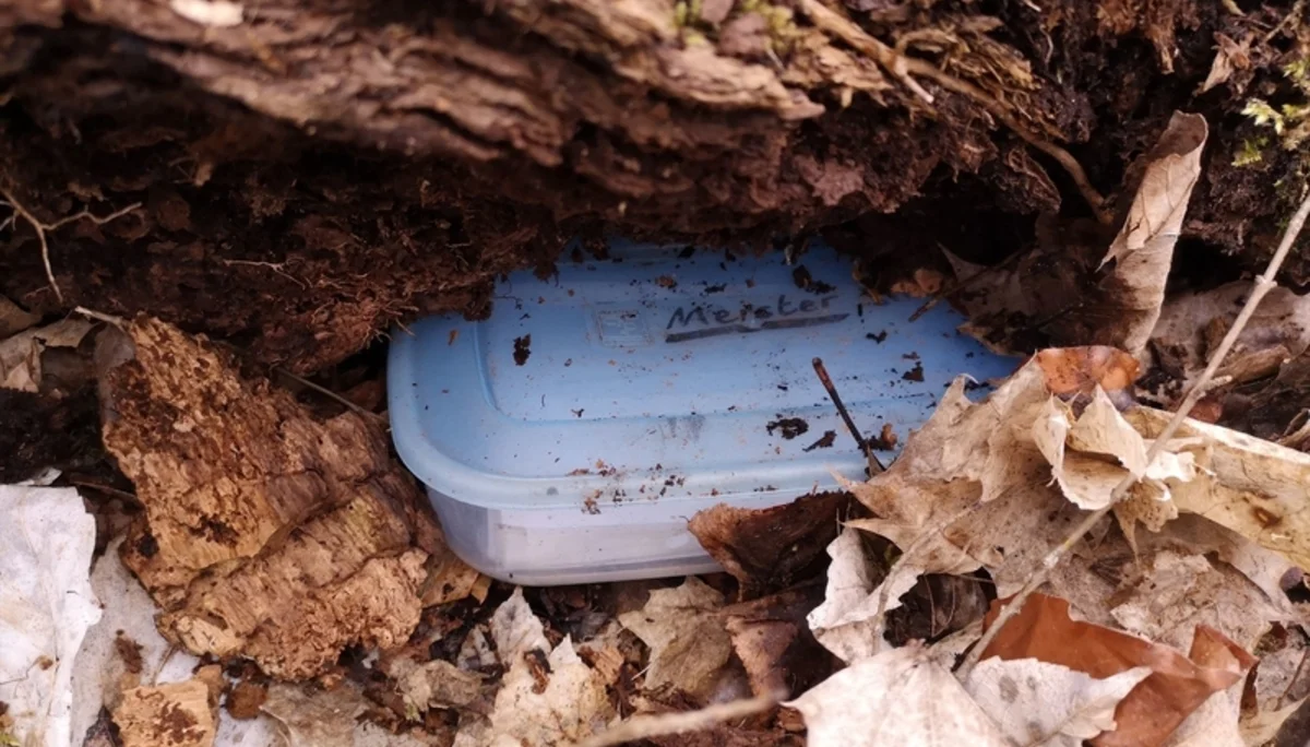 Geocache versteckt Dose unter Baum | © DAV Augsburg e.V.