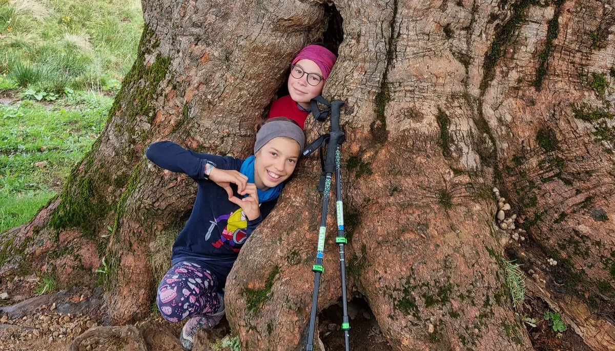 Mädchen in Baum | © DAV Augsburg