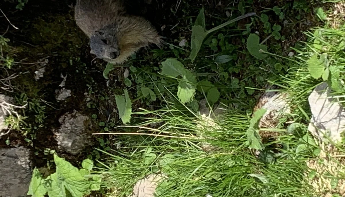 © FrauenAlpin / Barbara Thome