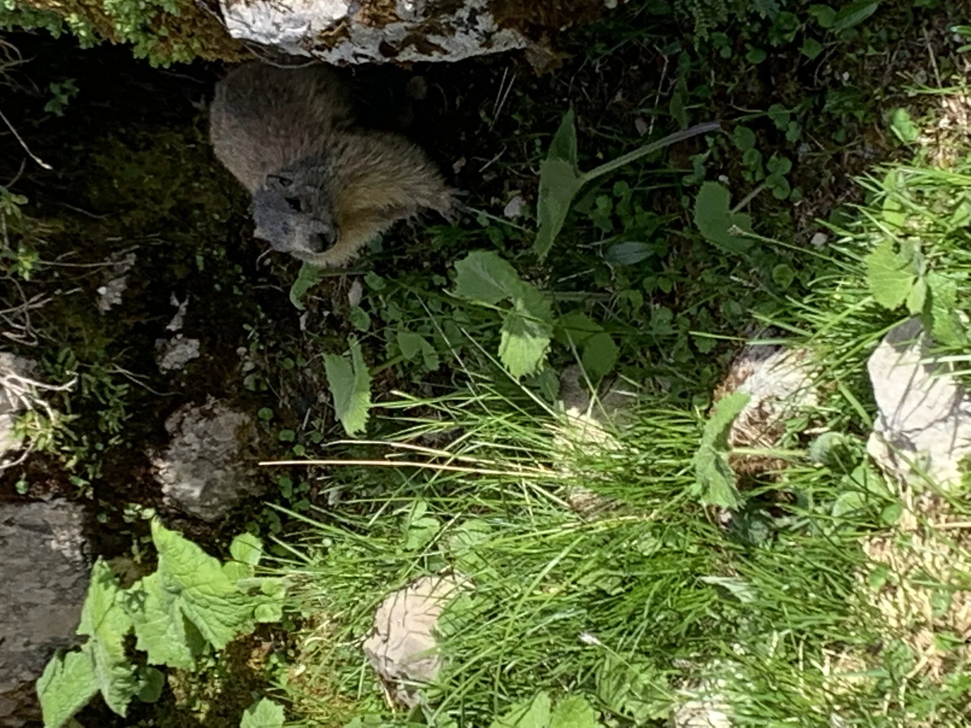 © FrauenAlpin / Barbara Thome