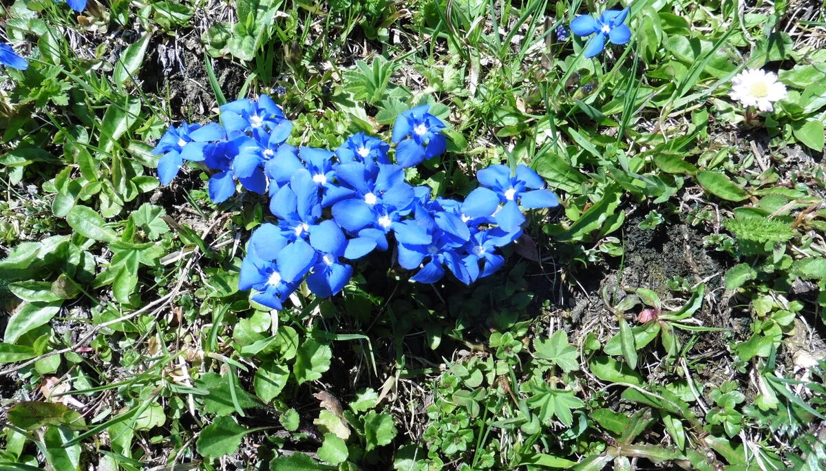 © DAV Augsburg Senioren