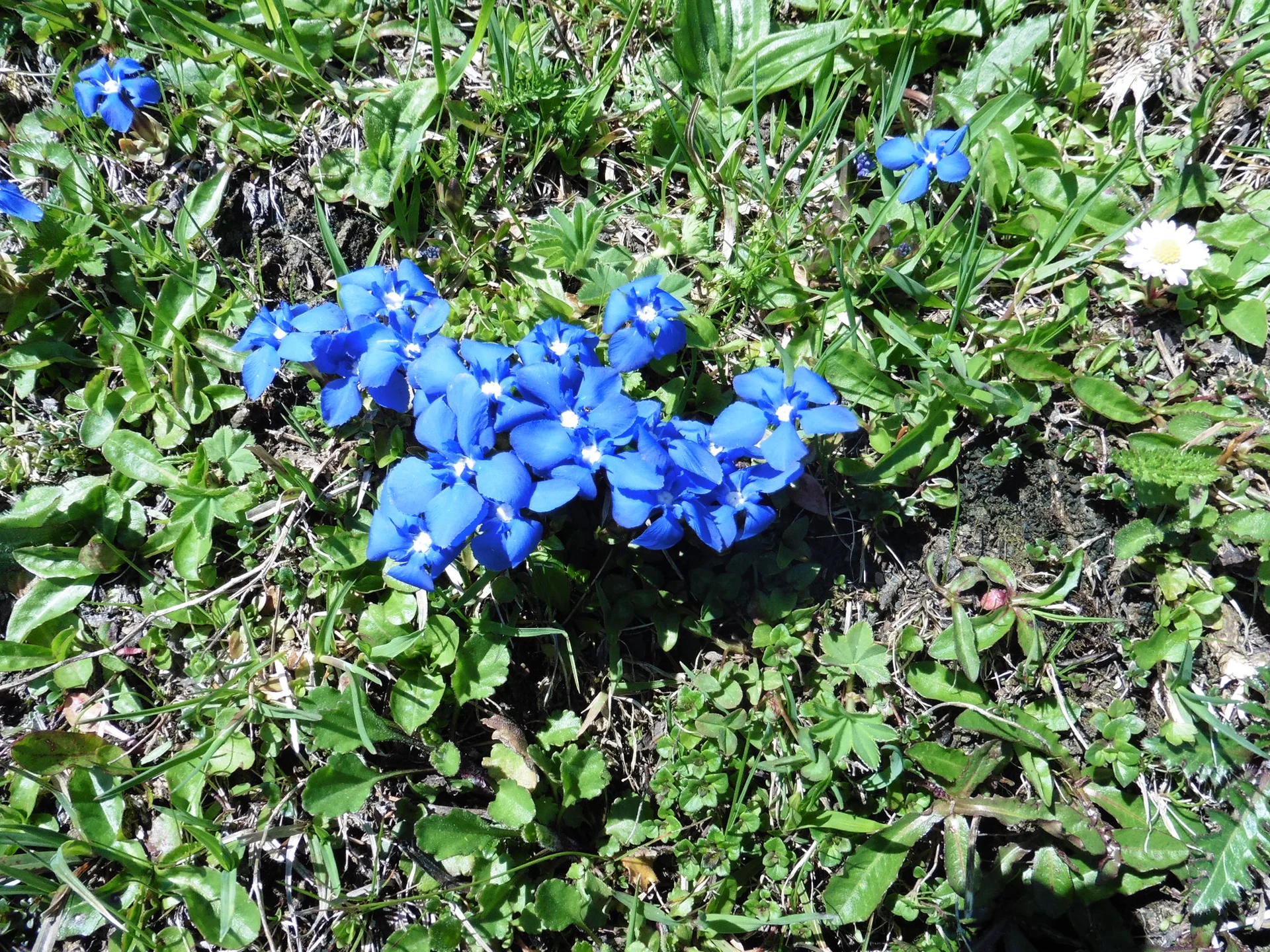 © DAV Augsburg Senioren