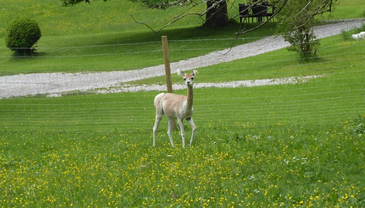 © DAV Augsburg Senioren