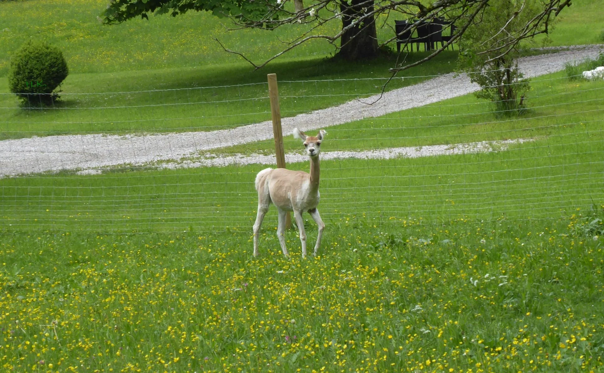 © DAV Augsburg Senioren