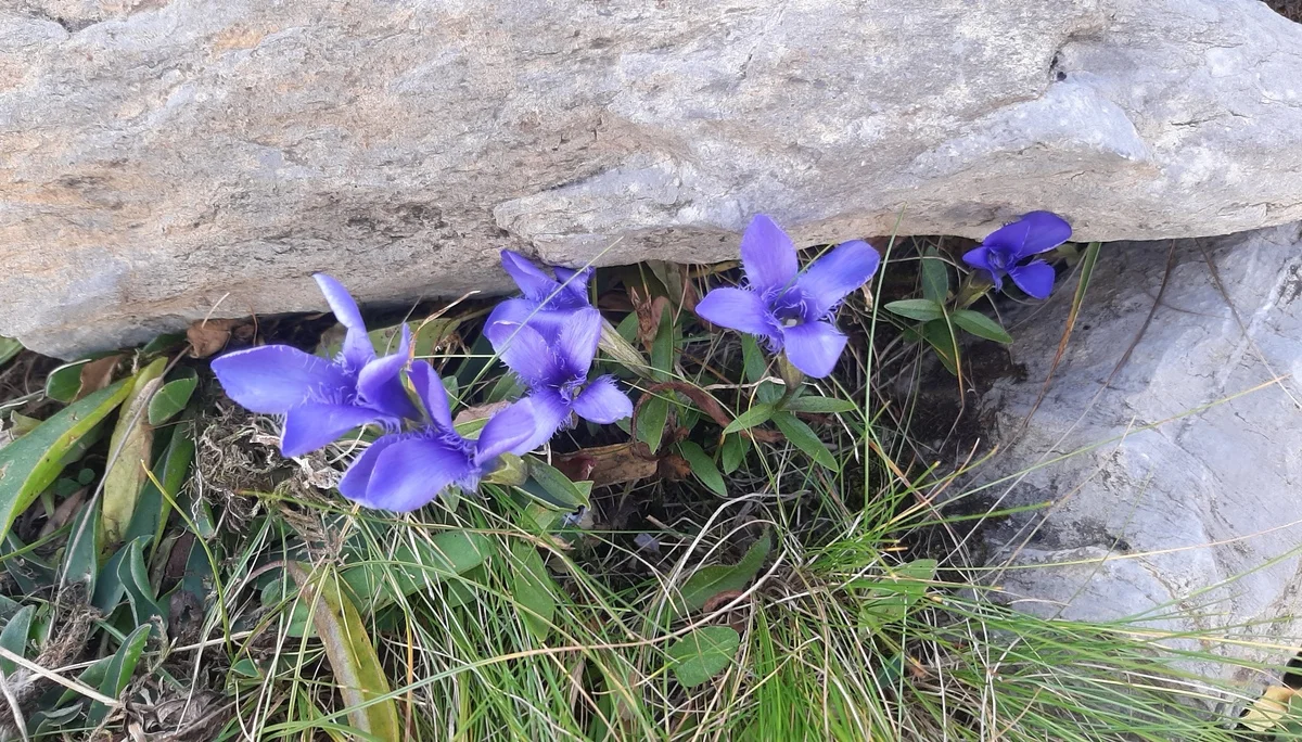 © DAV Augsburg Senioren