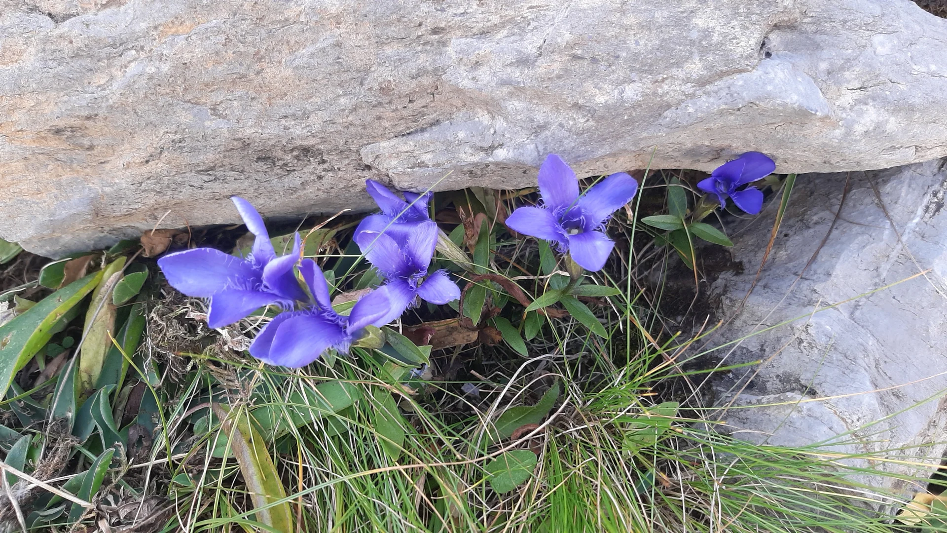 © DAV Augsburg Senioren