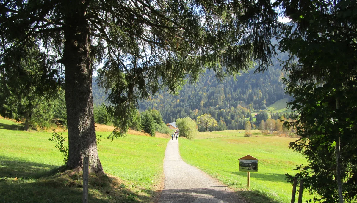Weg zur Müllers Alpe | © DAV Augsburg Senioren