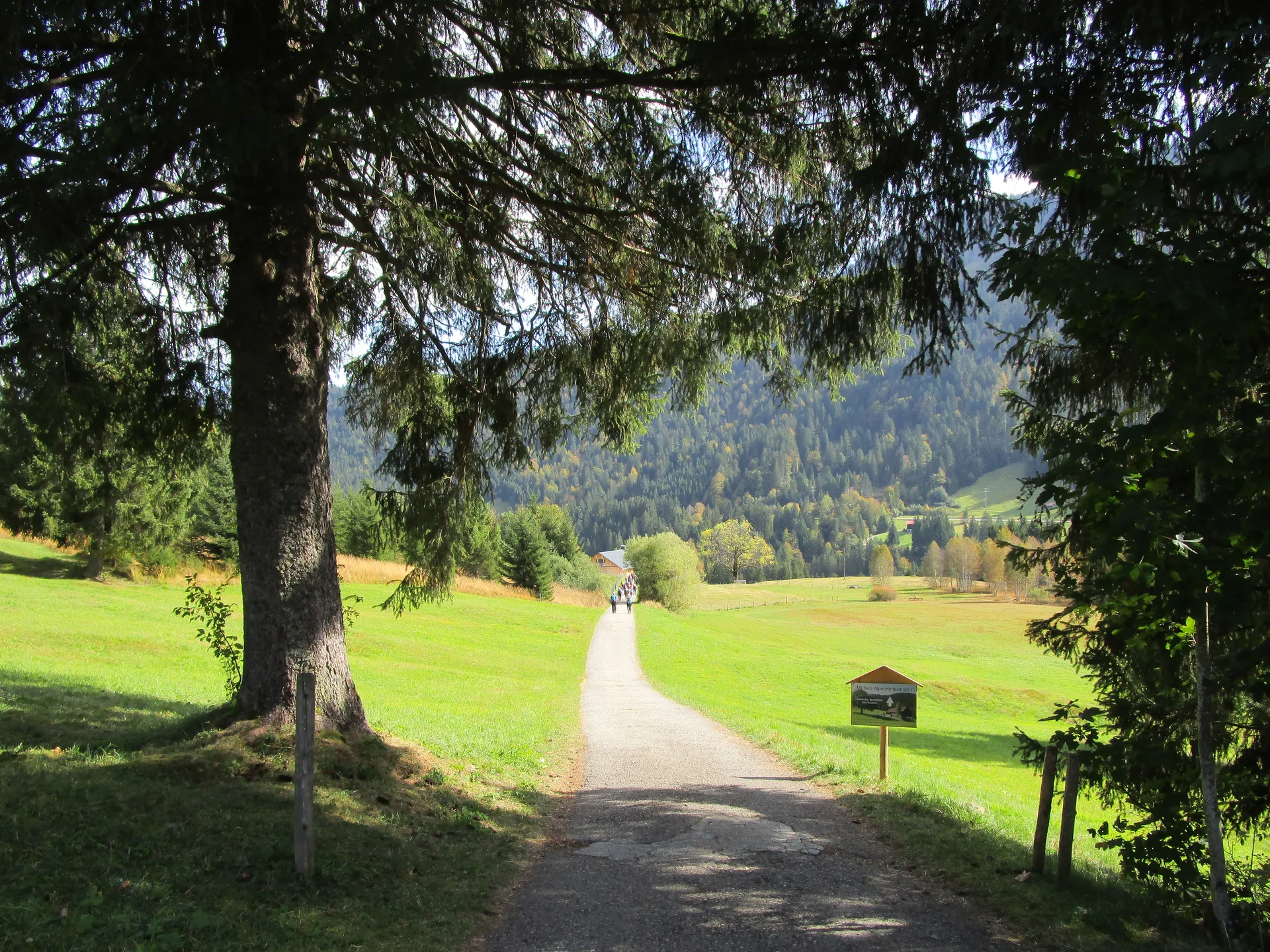 Weg zur Müllers Alpe | © DAV Augsburg Senioren