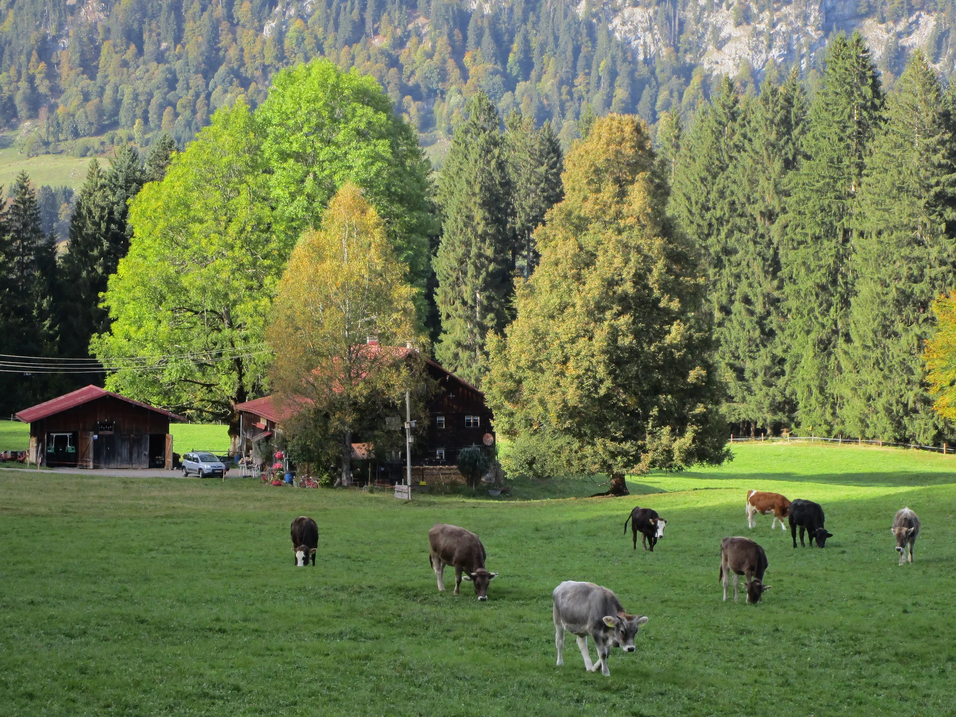 Weg zur Dornach Alpe | © DAV Augsburg Senioren
