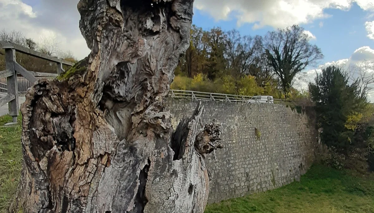 © DAV Augsburg Senioren