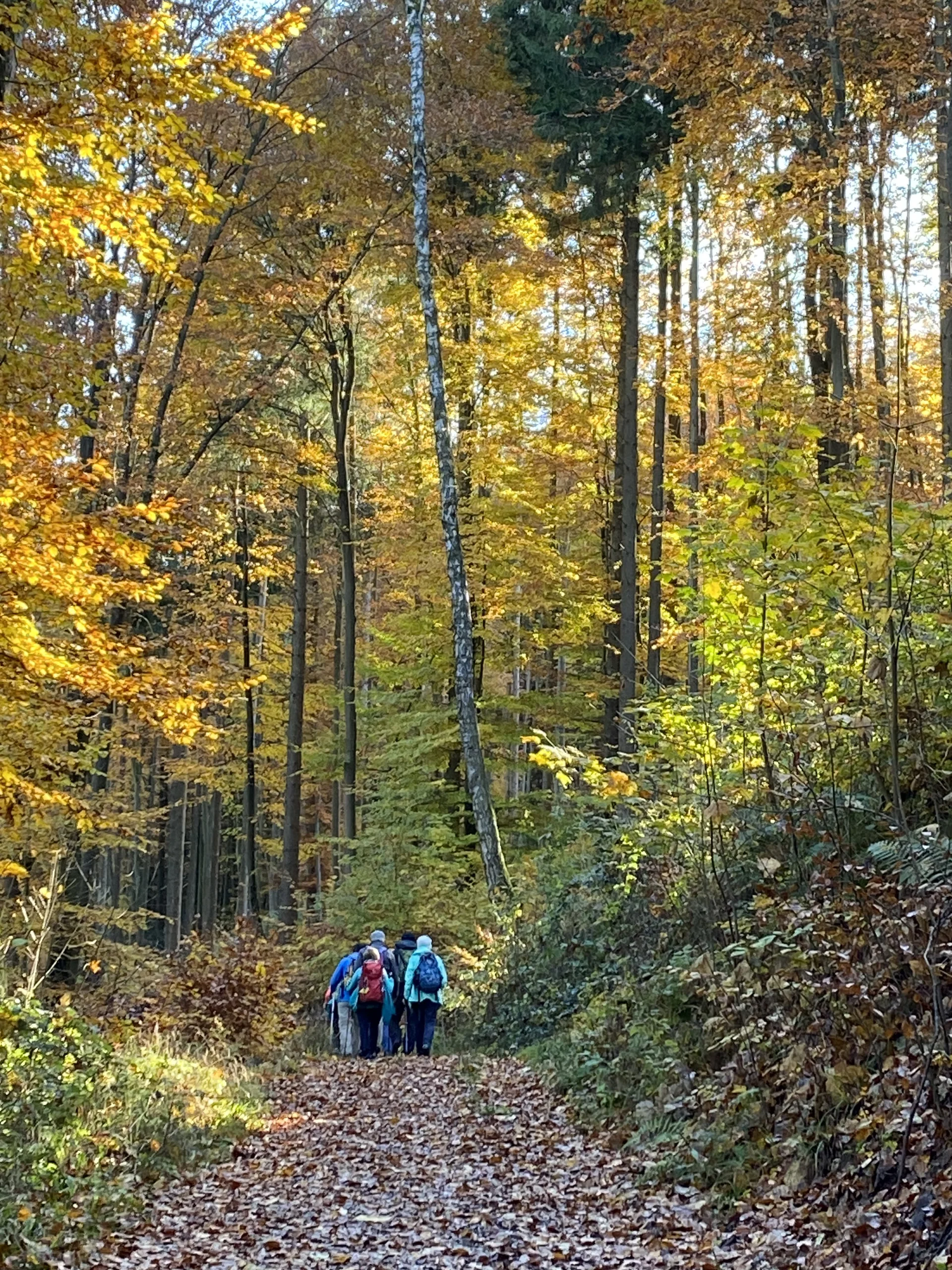 © DAV Augsburg Senioren