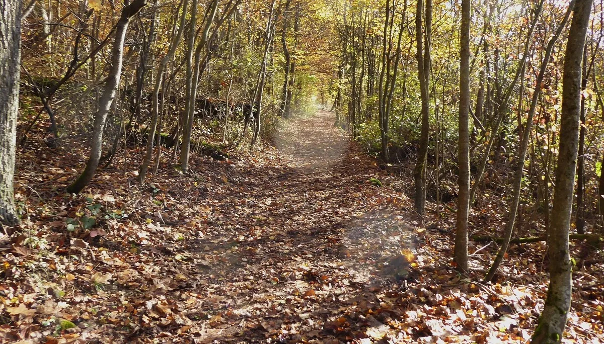 © DAV Augsburg Senioren