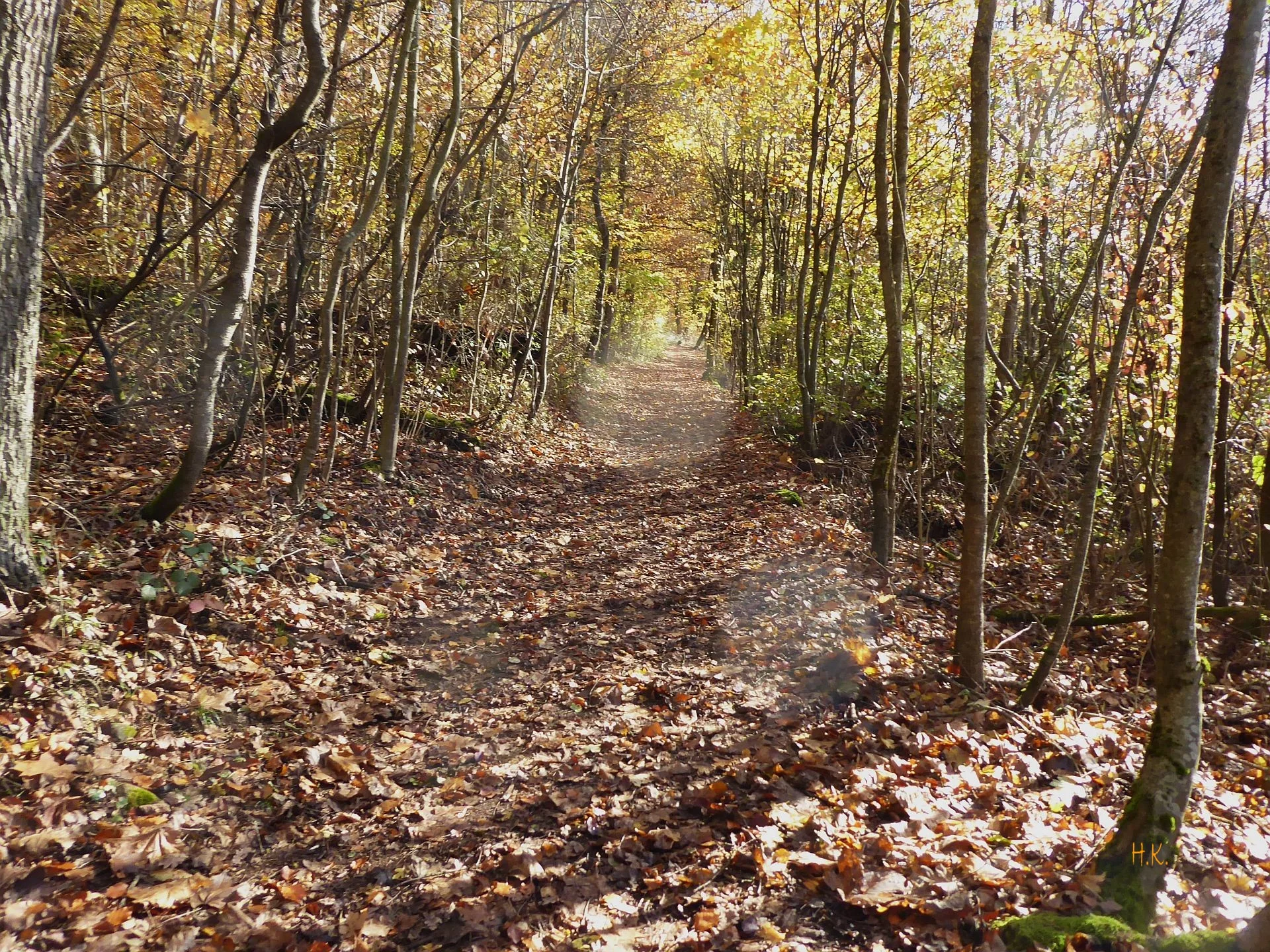 © DAV Augsburg Senioren