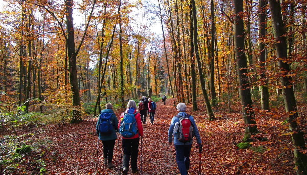 © DAV Augsburg Senioren