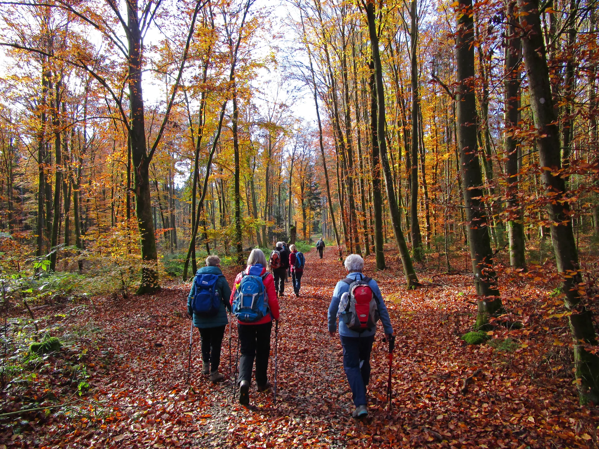 © DAV Augsburg Senioren