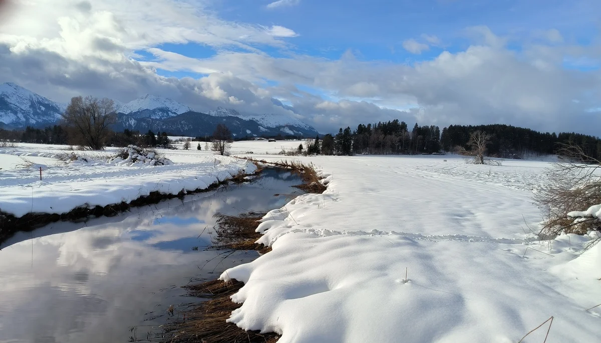 Rundwanderung Hopfensee | © DAV Augsburg Senioren