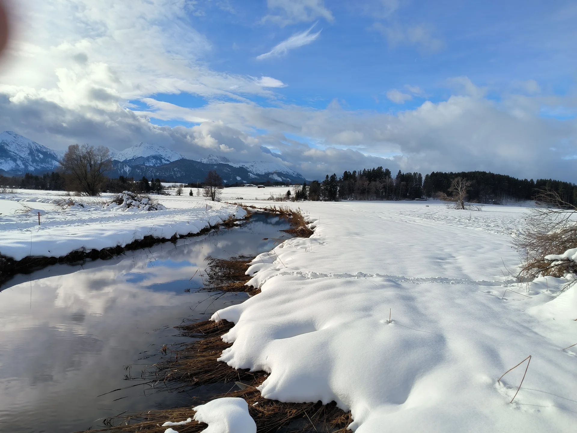 Rundwanderung Hopfensee | © DAV Augsburg Senioren