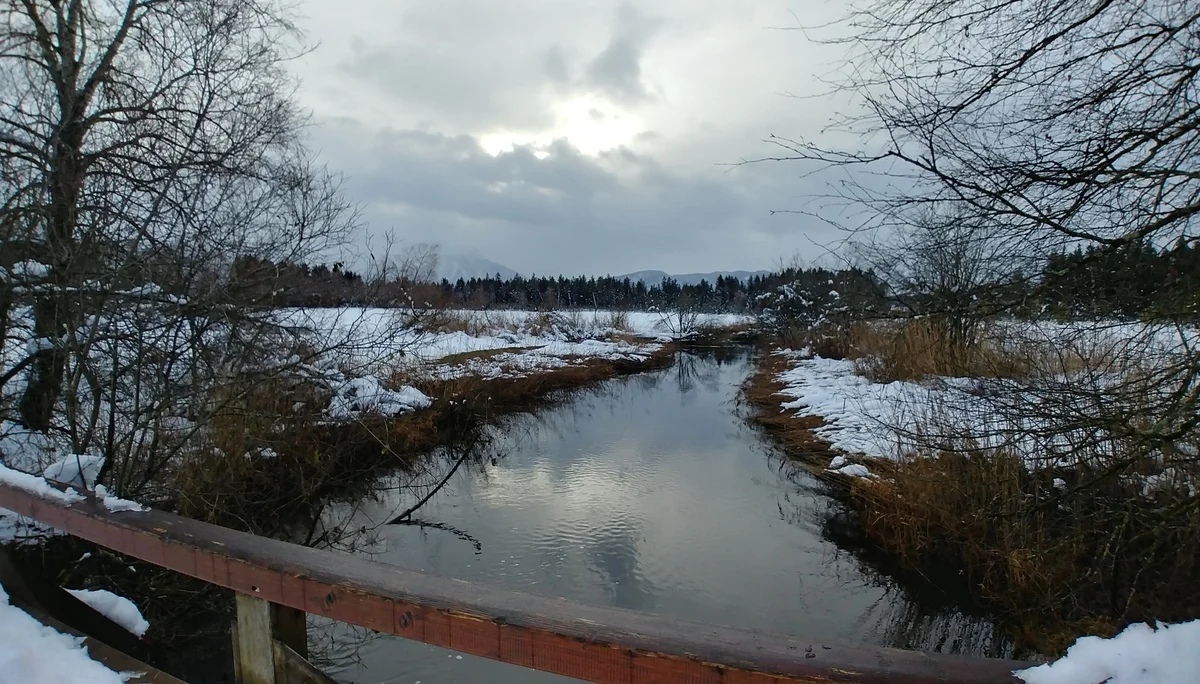 Rundwanderung Hopfensee | © DAV Augsburg Senioren