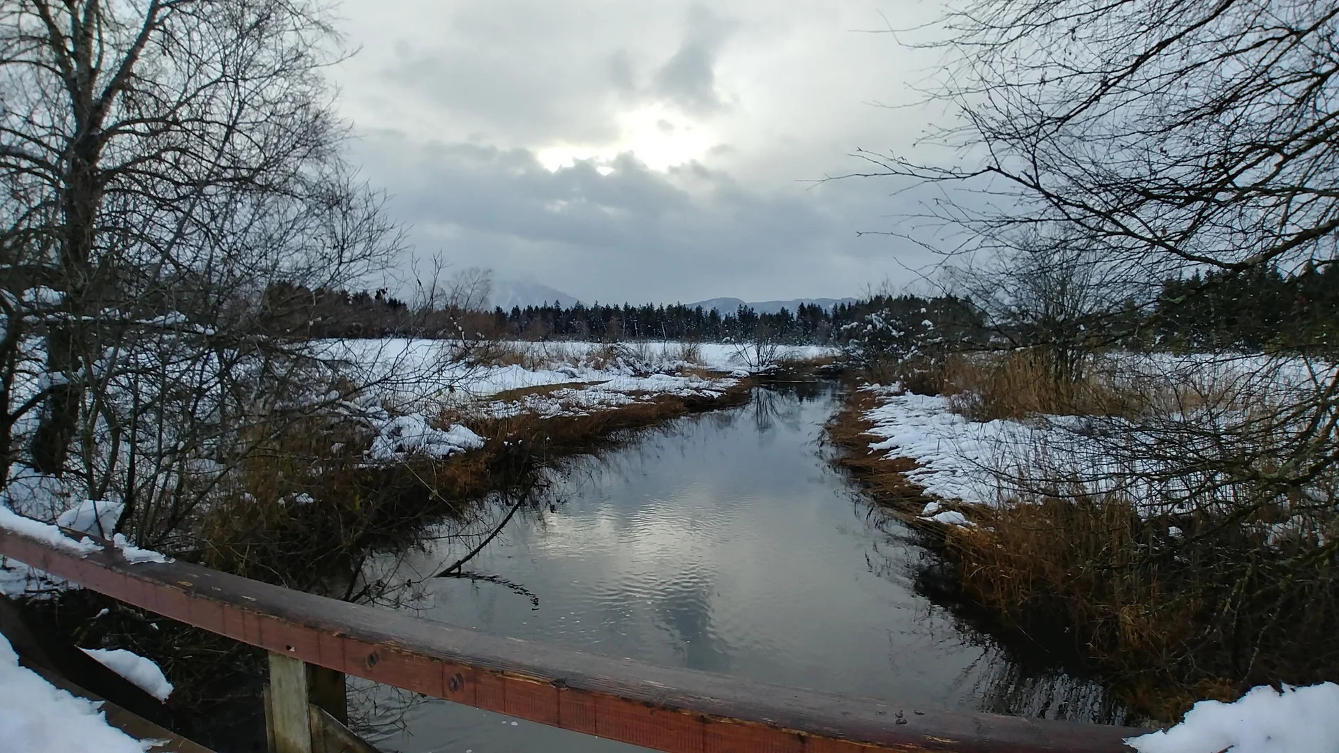 Rundwanderung Hopfensee | © DAV Augsburg Senioren