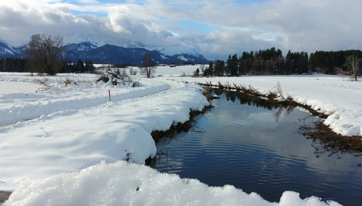 Rundwanderung Hopfensee | © DAV Augsburg Senioren