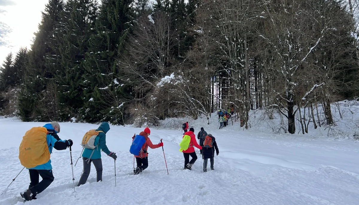 Spuren ist angesagt | © DAV Augsburg Senioren