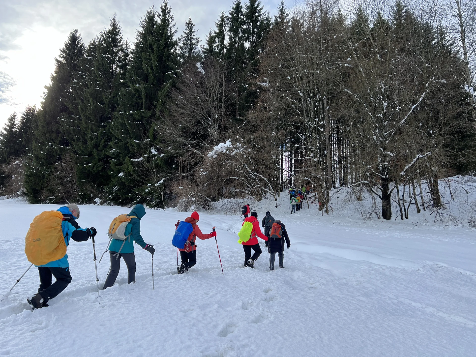 Spuren ist angesagt | © DAV Augsburg Senioren