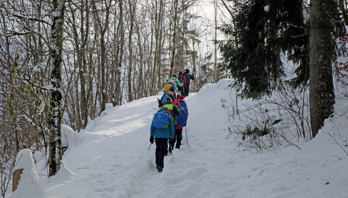 Anstieg zur Ruine Eisenberg | © DAV Augsburg Senioren