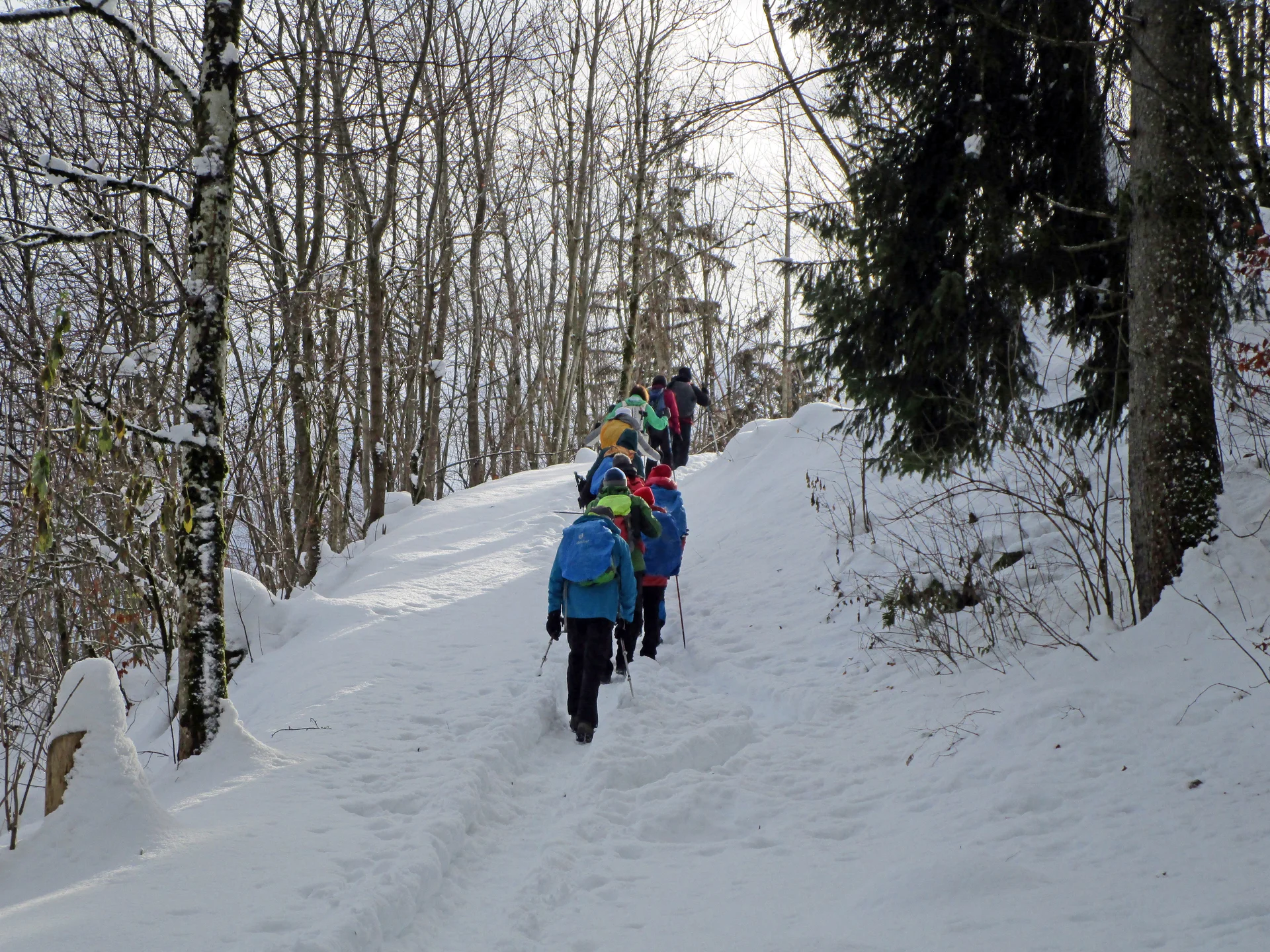 Anstieg zur Ruine Eisenberg | © DAV Augsburg Senioren
