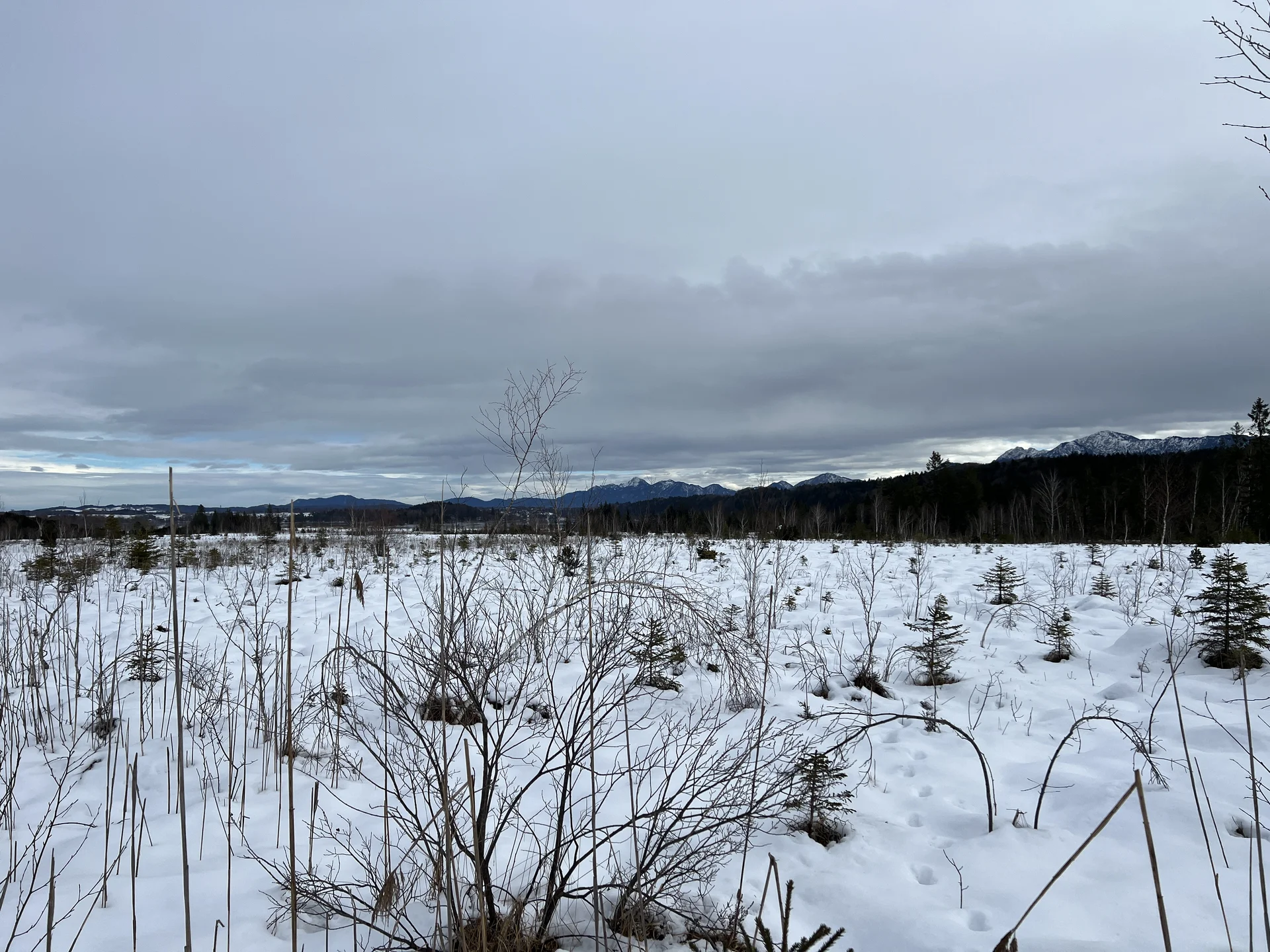 © DAV Augsburg Senioren