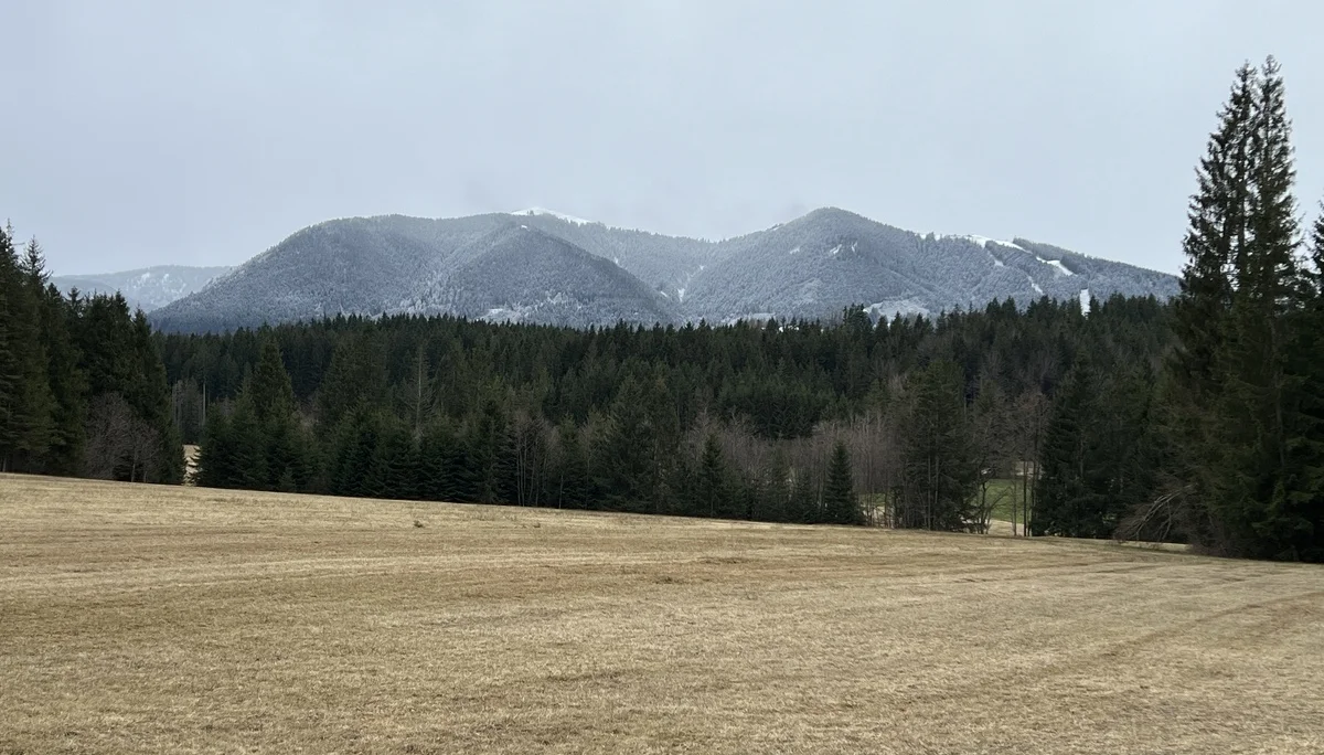 Blick auf die Hörnlegruppe zwischen Kalkofen und Sprittelsberg | © DAV Augsburg Senioren