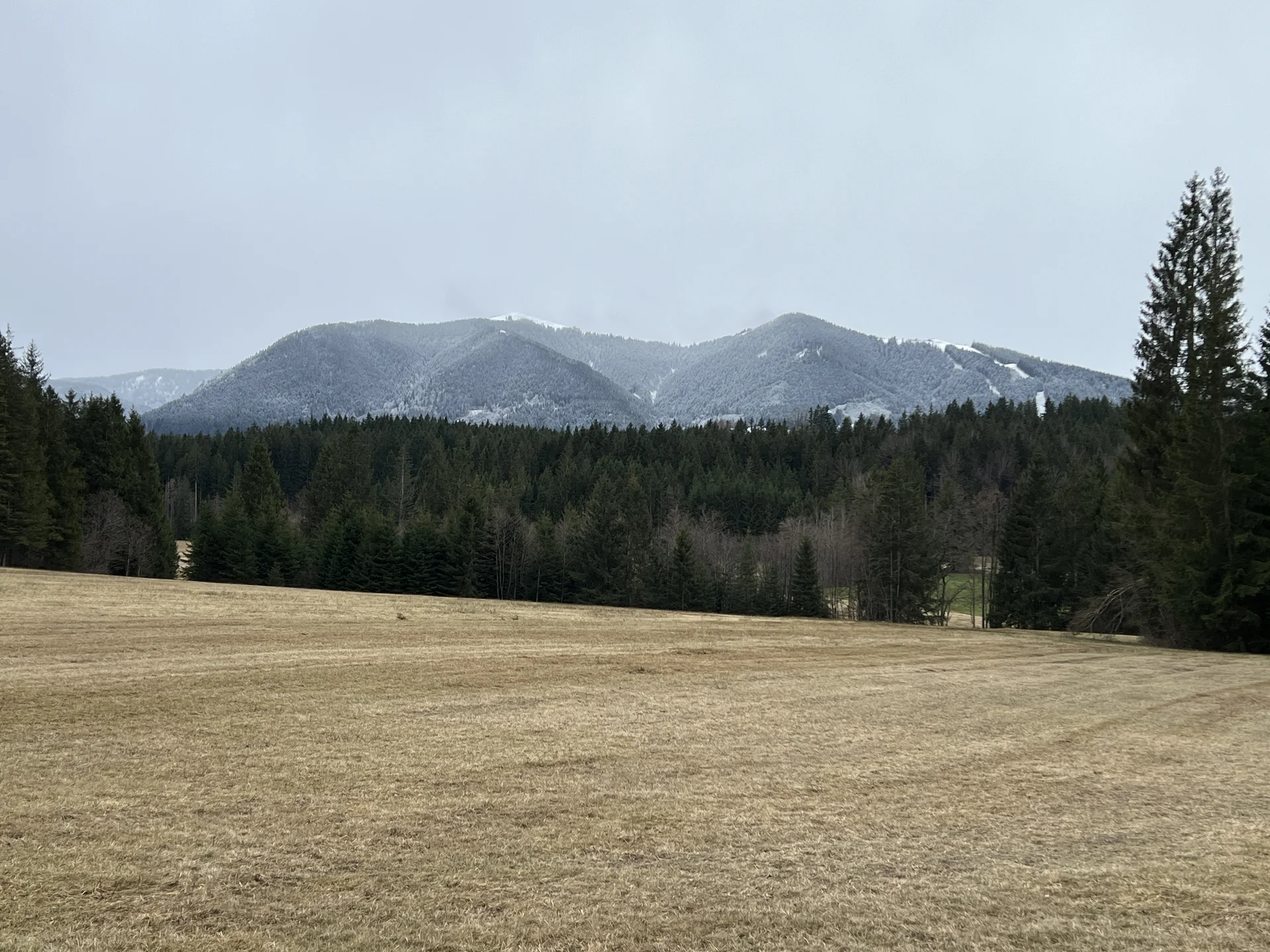 Blick auf die Hörnlegruppe zwischen Kalkofen und Sprittelsberg | © DAV Augsburg Senioren