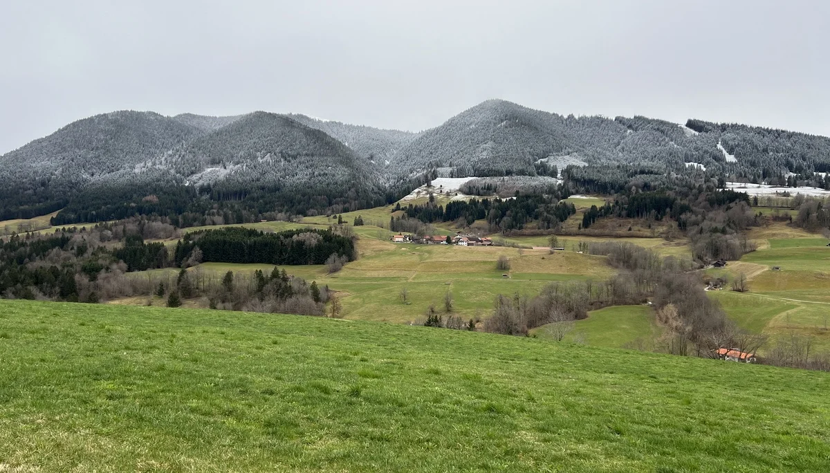 Bei Bad Kohlgrub, Ortsteil Stegrain - Blick auf die Hörnlegruppe | © DAV Augsburg Senioren