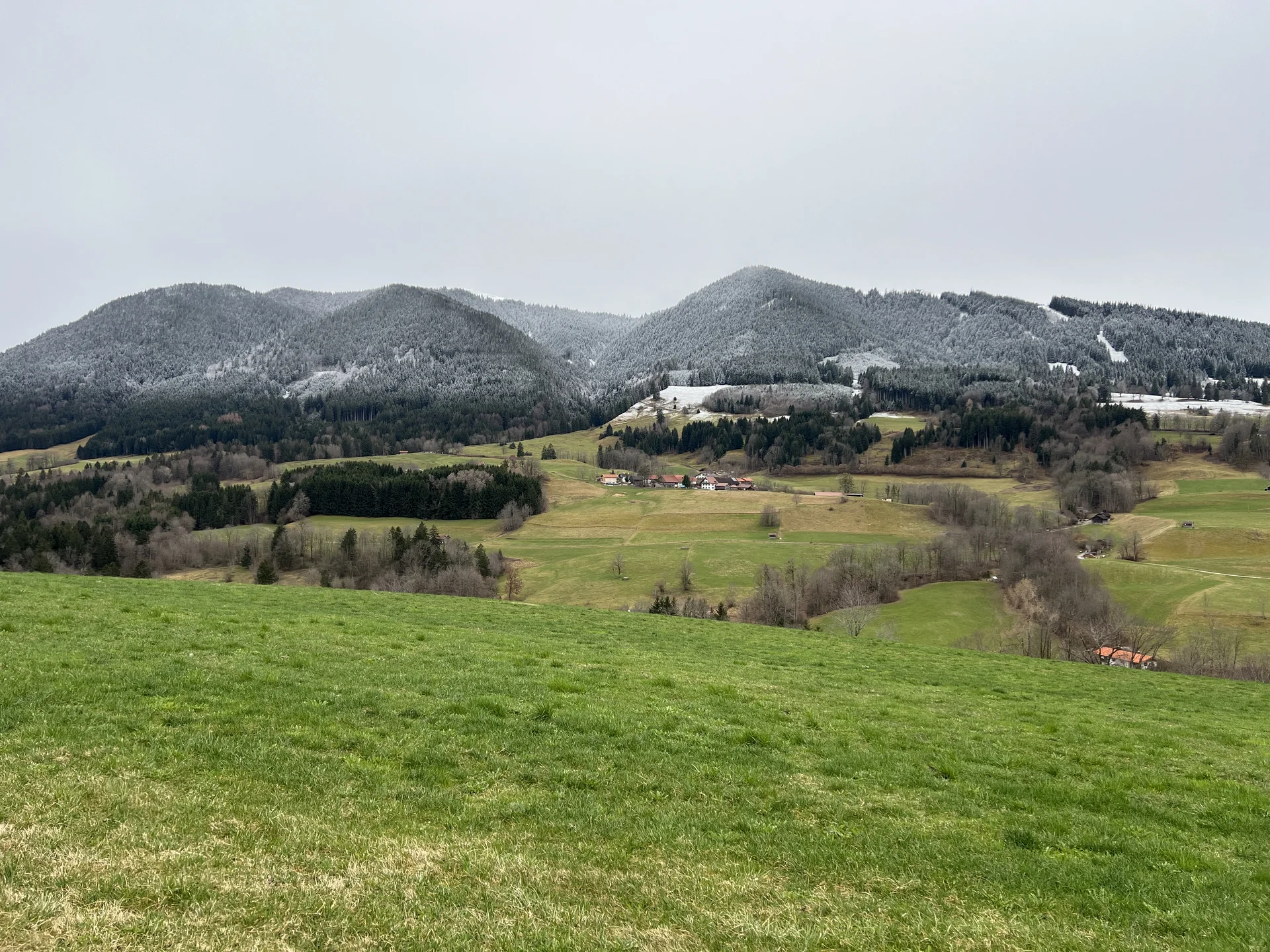 Bei Bad Kohlgrub, Ortsteil Stegrain - Blick auf die Hörnlegruppe | © DAV Augsburg Senioren