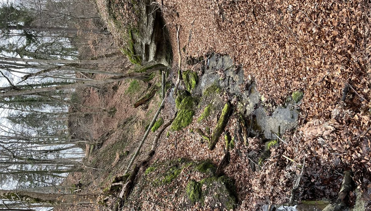Bei Kloster Andechs - kleines Tälchen im Nagelfluhgestein | © DAV Augsburg Senioren