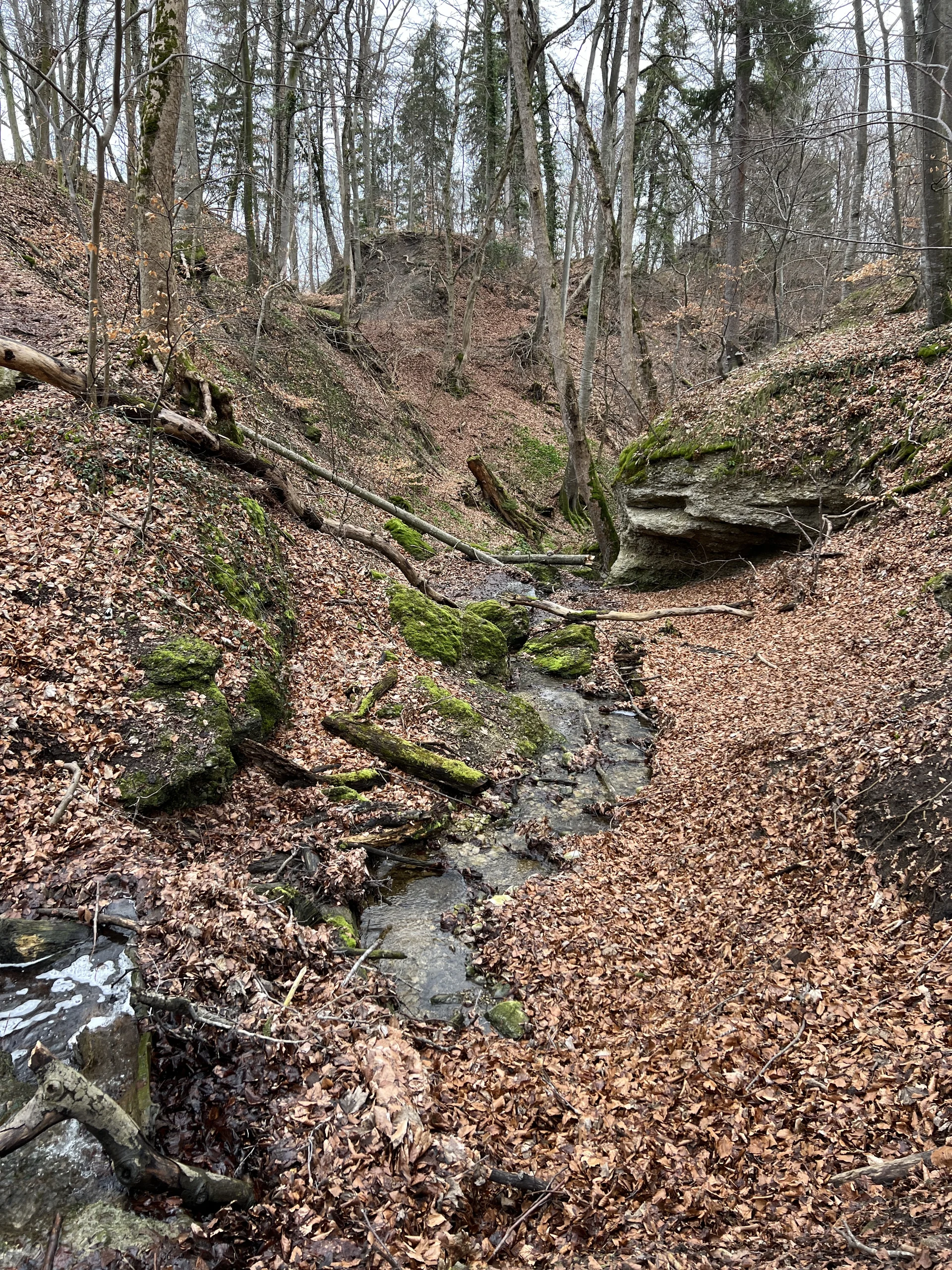 Bei Kloster Andechs - kleines Tälchen im Nagelfluhgestein | © DAV Augsburg Senioren