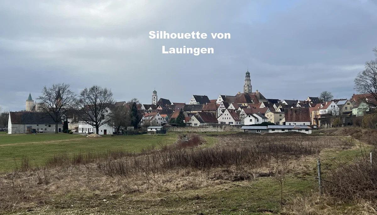 Lauingen - Silhouette von Osten | © DAV Augsburg Senioren