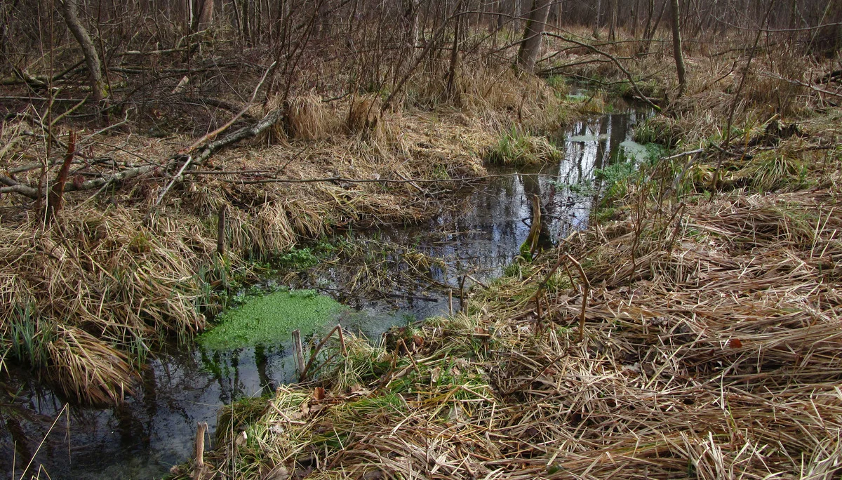 © DAV Augsburg Senioren