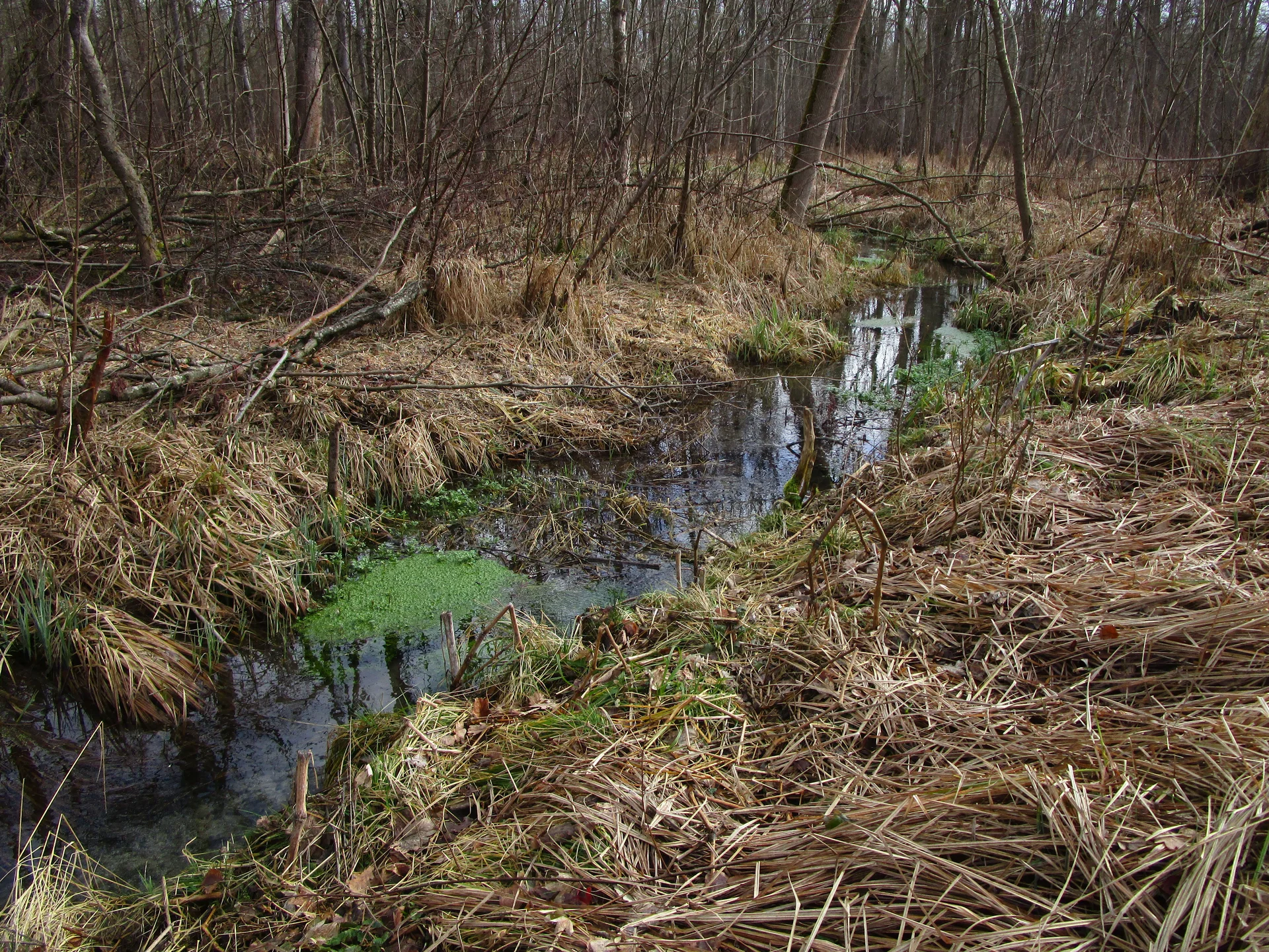 © DAV Augsburg Senioren