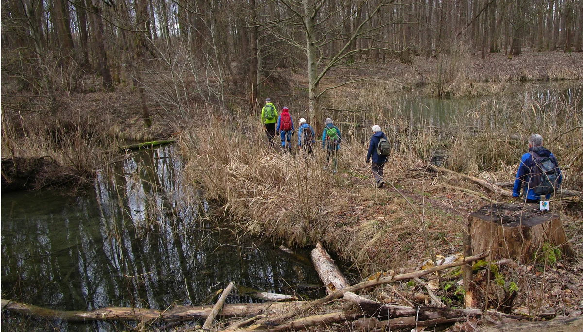 Schmaler Damm zwischen 2 Tümpeln | © DAV Augsburg Senioren