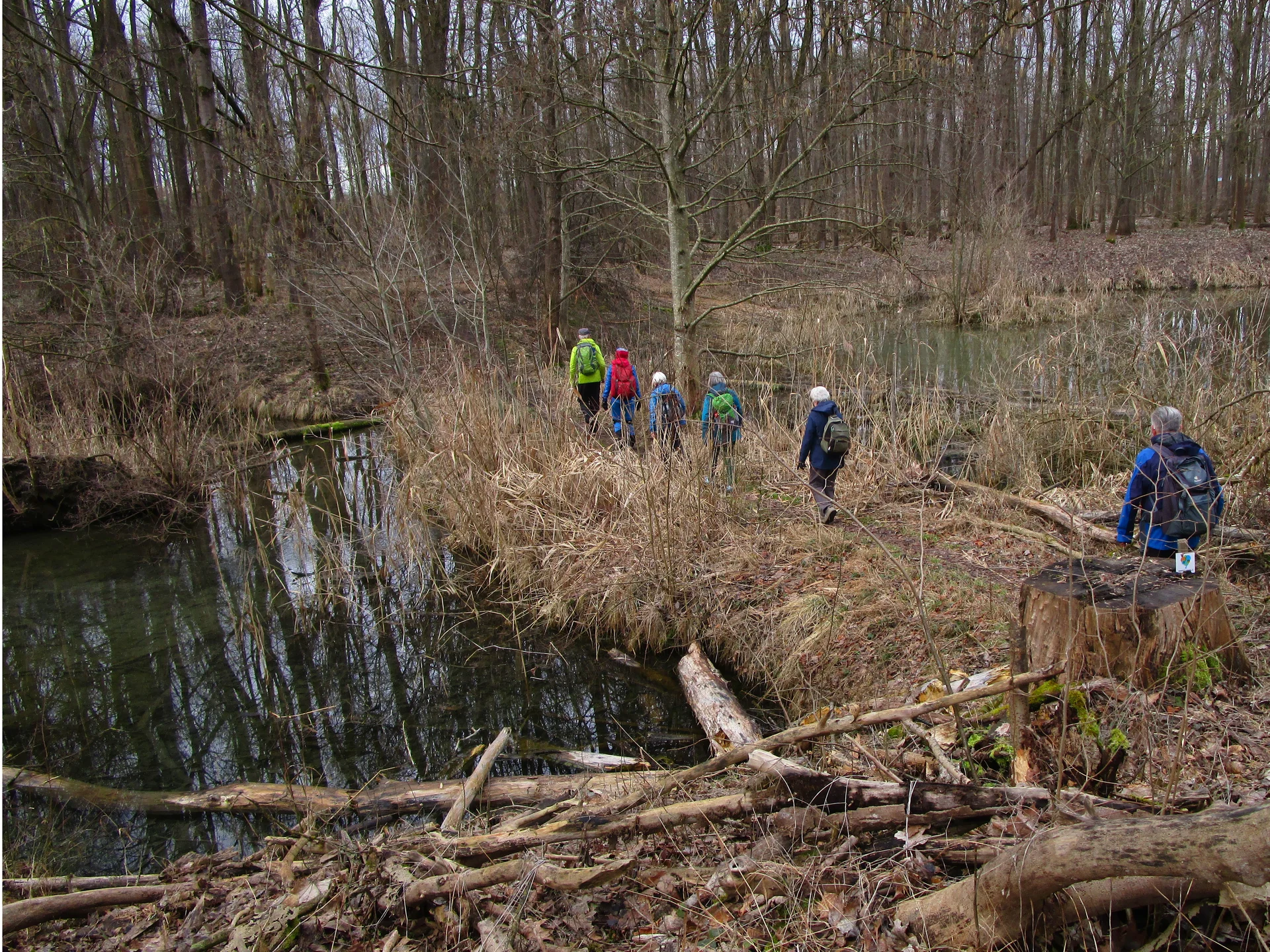 Schmaler Damm zwischen 2 Tümpeln | © DAV Augsburg Senioren