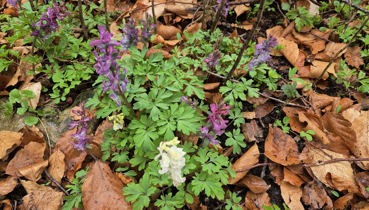 © DAV Augsburg Senioren