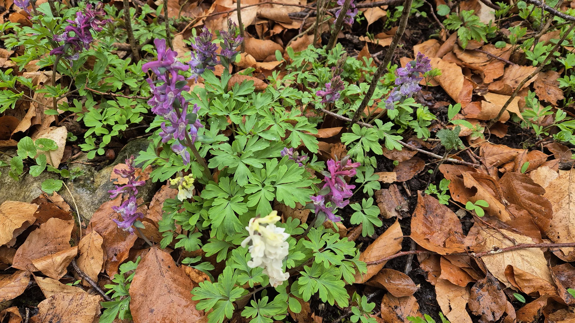 © DAV Augsburg Senioren