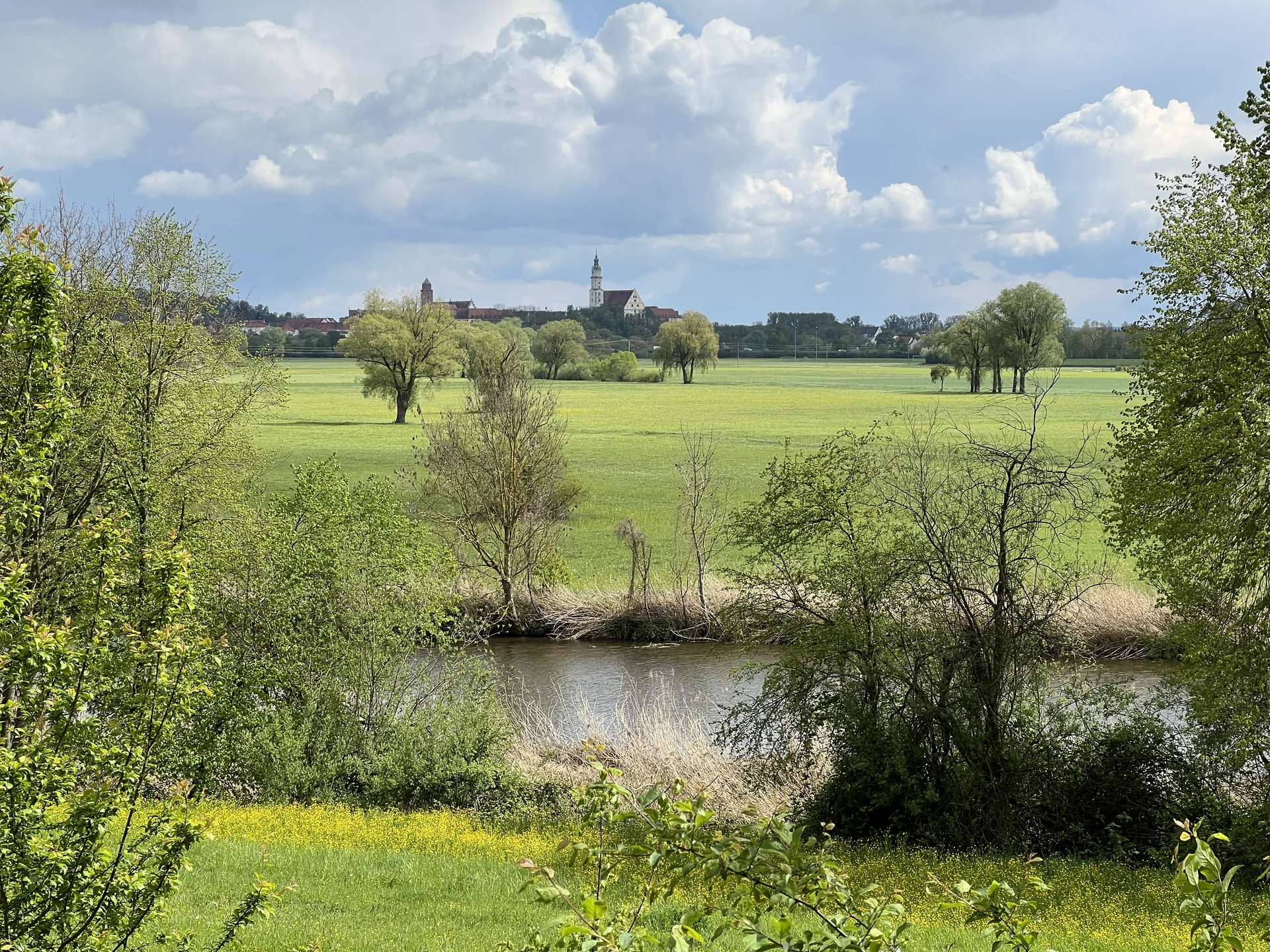 Wörnitzauen bei Donauwörth - Blick auf Donauwörth | © DAV Augsburg Senioren
