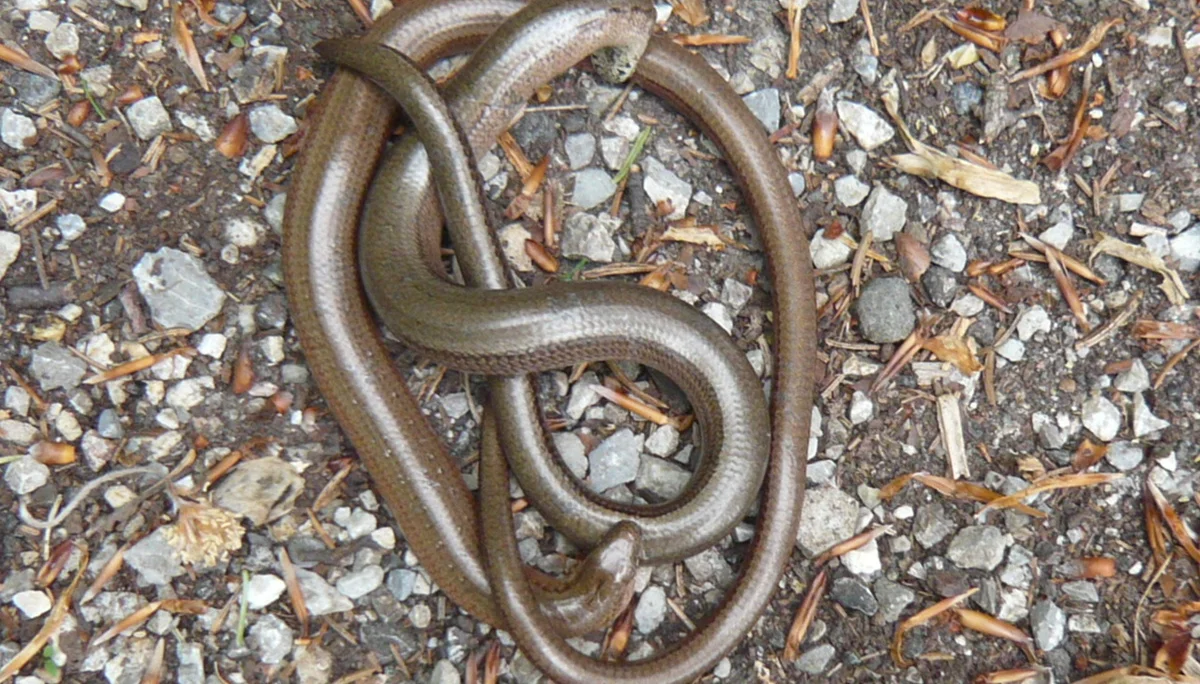 © DAV Augsburg Senioren