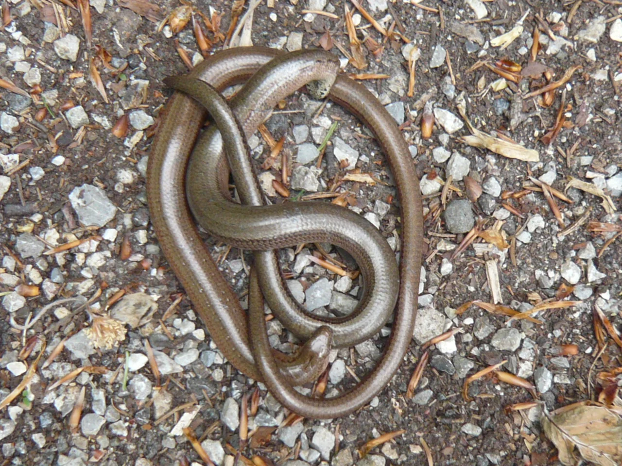 © DAV Augsburg Senioren