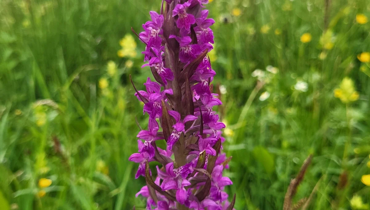 © DAV Augsburg Senioren