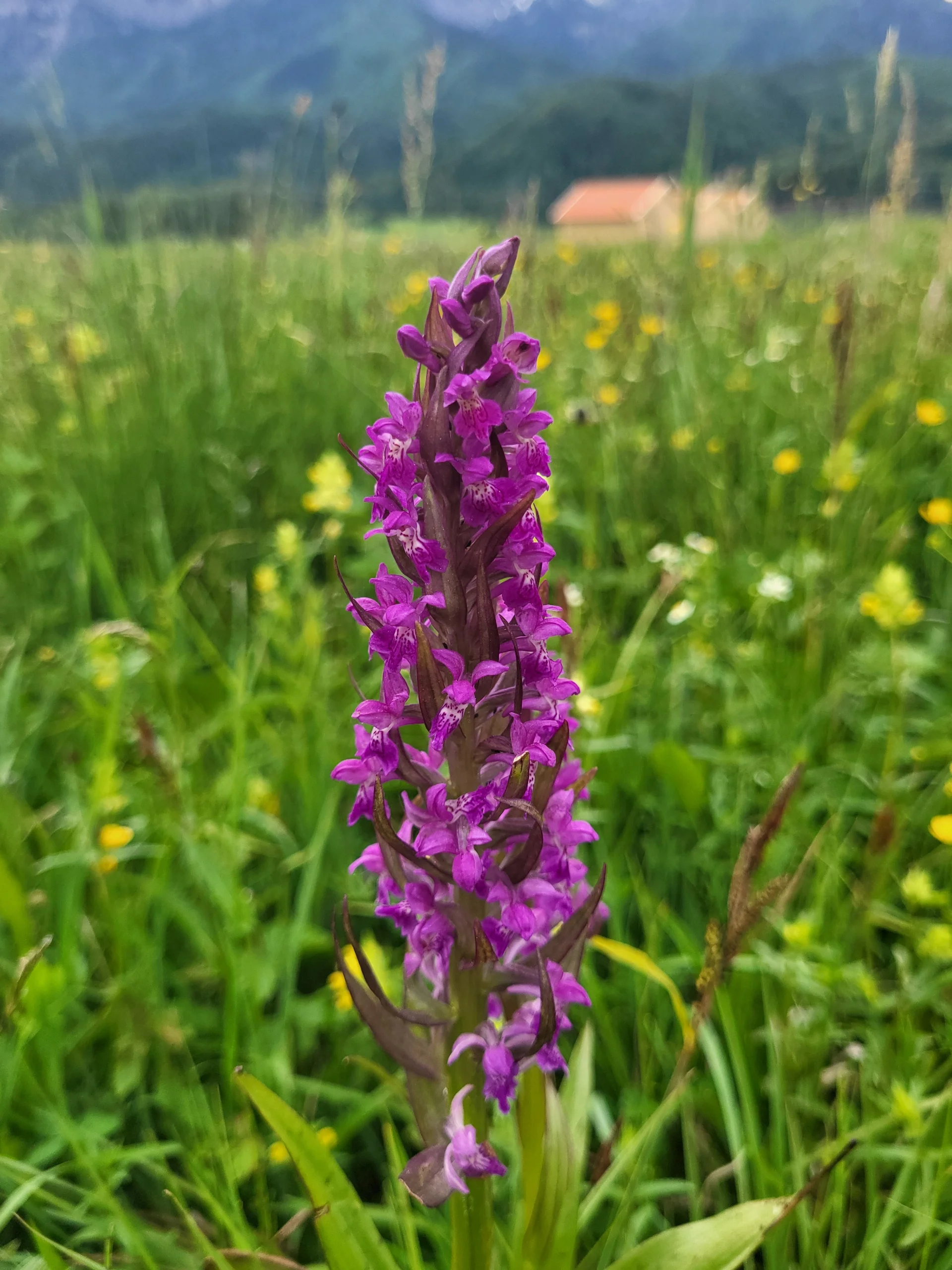 © DAV Augsburg Senioren